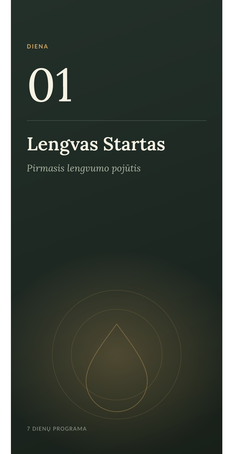 Dienos skyriaus viršelis knygos viduje
